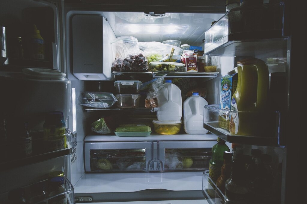 fresh vegetables stored properly inside refrigerator
