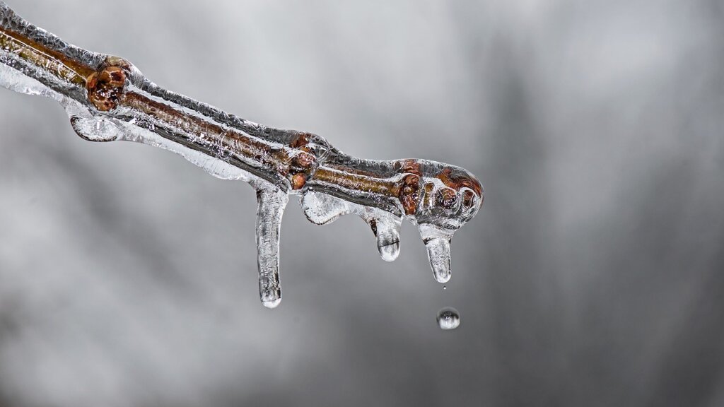 pot of boiling water placed inside empty freezer to melt frost