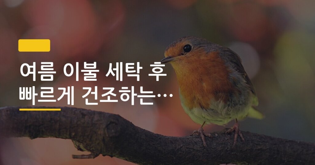 여름 이불 세탁 후 빠르게 건조하는 방법 3가지