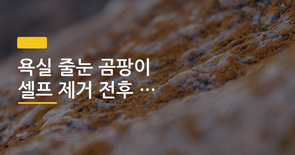 욕실 줄눈 곰팡이 셀프 제거 전후 비교 후기