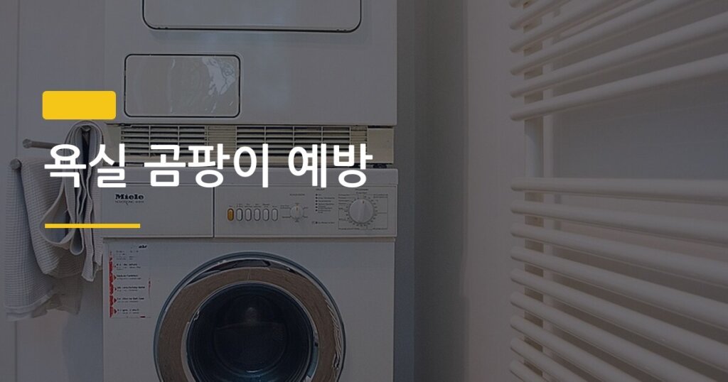 욕실 곰팡이 예방, 환기와 습도 관리만 제대로 해도 절반은 해결된다