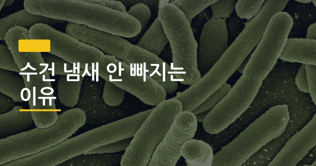 수건 냄새 안 빠지는 이유, 세탁해도 계속 나는 진짜 원인과 해결법 5가지