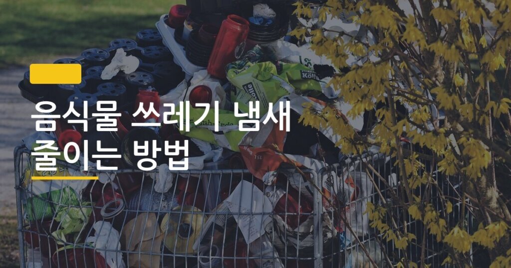 음식물 쓰레기 냄새 줄이는 방법, 여름철에만 통하는 5가지 실전 루틴