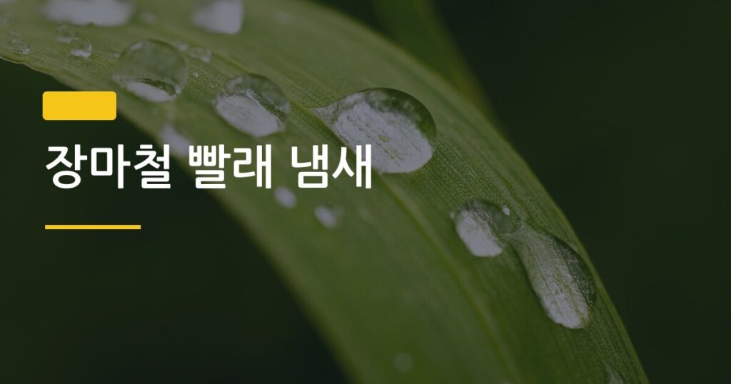 장마철 빨래 냄새, 섬유유연제 포함 3가지 방법으로 완전히 잡는다