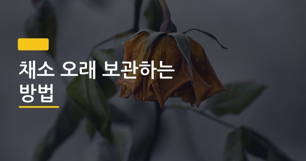채소 오래 보관하는 방법, 야채칸 습도 하나만 바꿨는데 2배 더 싱싱했다