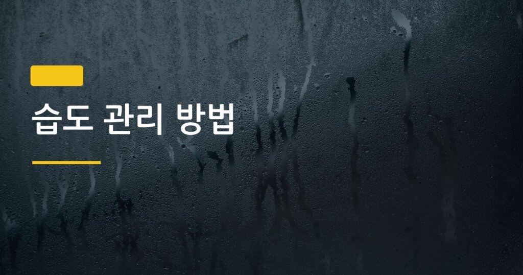 습도 관리 방법, 계절별로 다르게 해야 곰팡이 없는 집이 완성된다