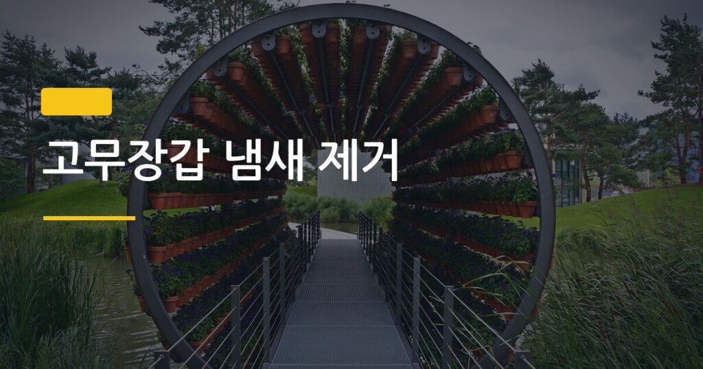 고무장갑 냄새 제거, 집에 있는 재료로 5분 안에 해결하는 법