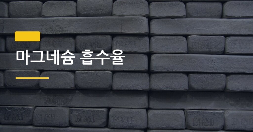 마그네슘 흡수율, 글리시네이트 vs 산화마그네슘 뭘 사야 돈 안 버릴까