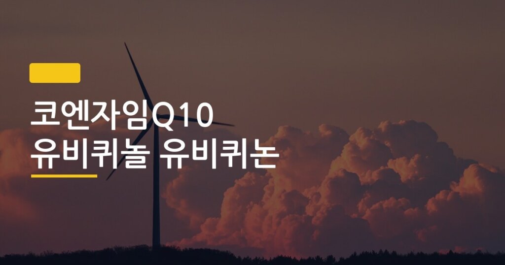 코엔자임Q10 유비퀴놀 유비퀴논, 뭘 먹어야 진짜 효과 볼 수 있을까