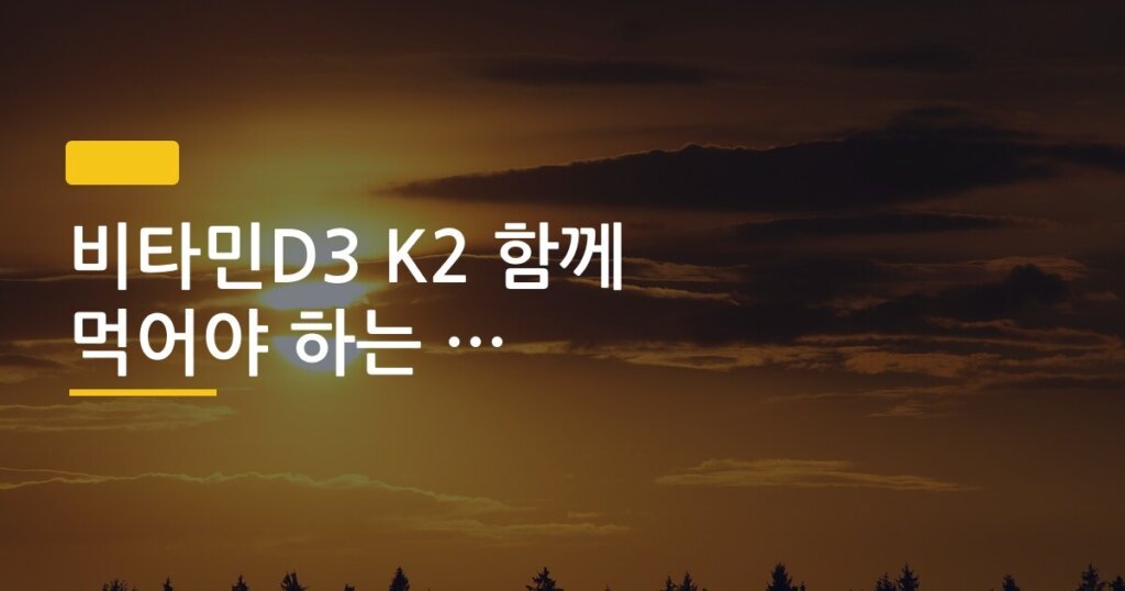 비타민D3 K2 함께 먹어야 하는 이유, 모르고 따로 먹으면 오히려 손해인 이유