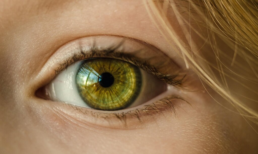fovea centralis close-up retina photography