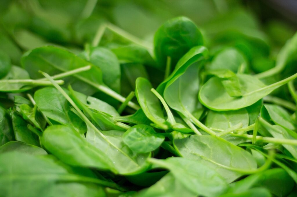 spinach tofu lentils iron rich plant foods
