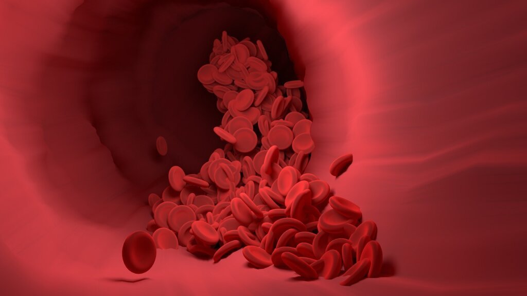 blood flow diagram showing nitric oxide effect in muscles