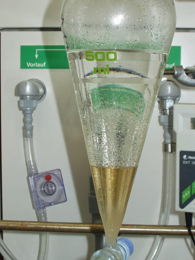 pineapple bromelain enzyme extraction process in laboratory