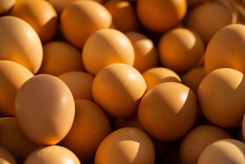 osteocalcin and MGP protein activation vitamin K2