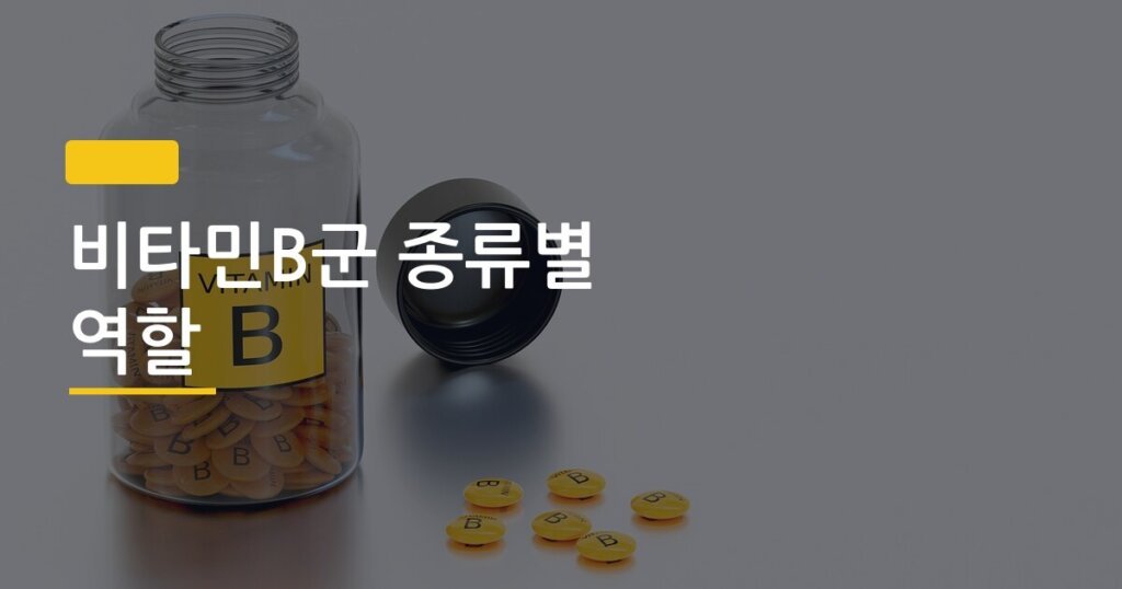 비타민B군 종류별 역할, 8가지 중 내가 부족한 건 어떻게 알까