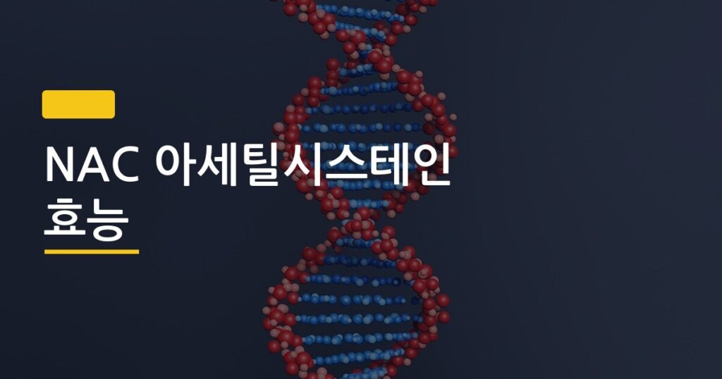 NAC 아세틸시스테인 효능, 건강기능식품인 줄 알았다가 이 사실 알고 깜짝 놀랐다