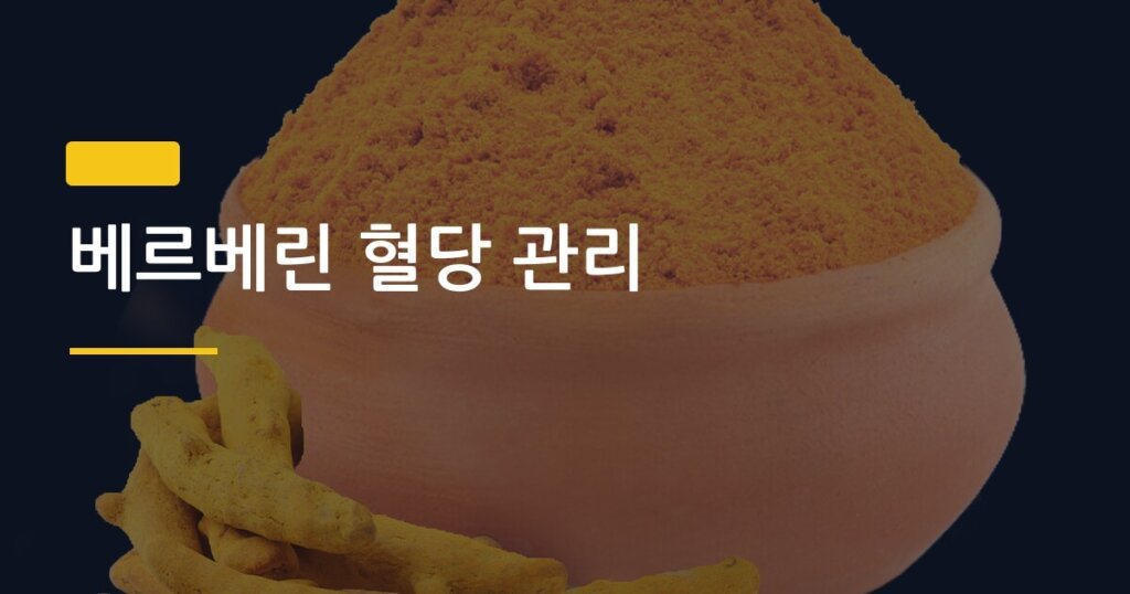 베르베린 혈당 관리, 약처럼 먹어도 되는 건지 솔직하게 정리했다