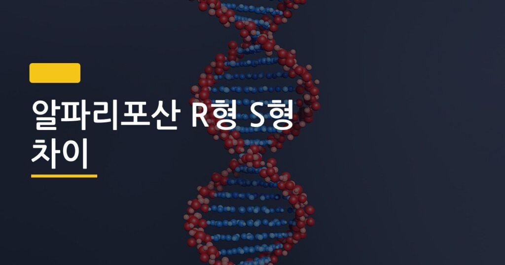알파리포산 R형 S형 차이, 항산화 효과 진짜 다른가 비교해봤다