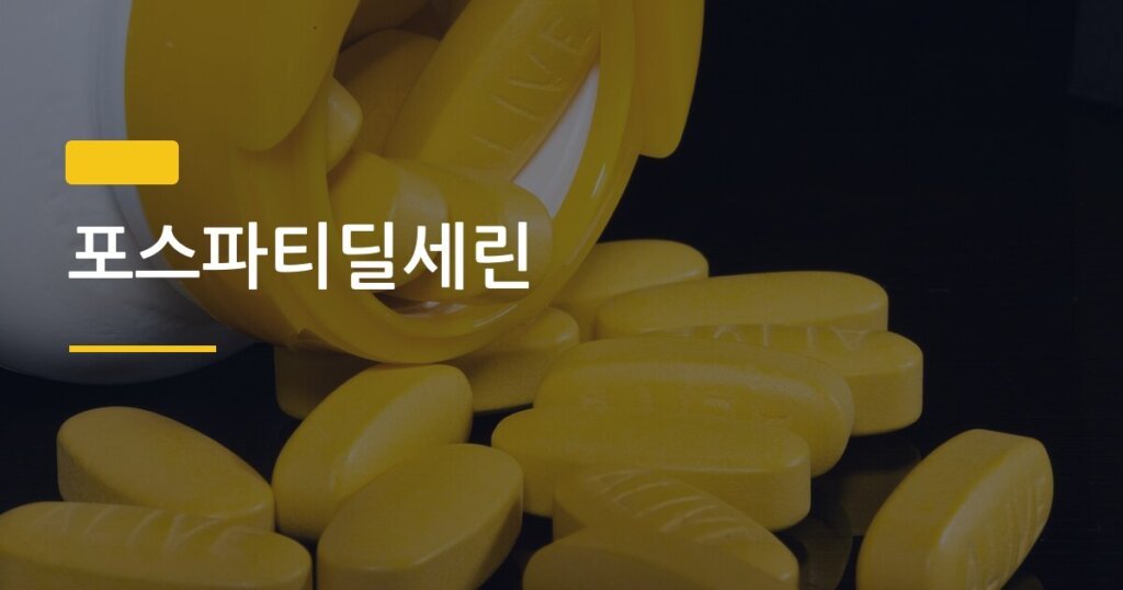 포스파티딜세린, 55세 이후 뇌 건강을 지키는 하루 복용량의 진실