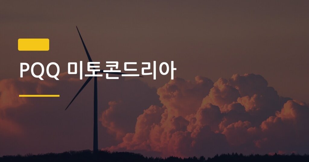 PQQ 미토콘드리아, 먹으면 진짜 에너지가 달라질까 복용법까지 총정리