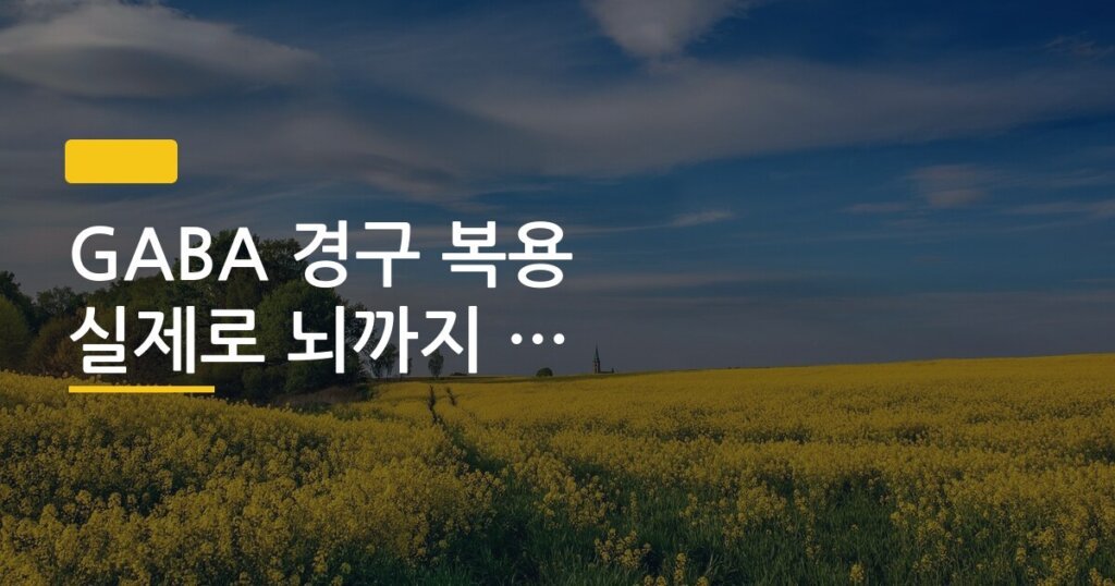 GABA 경구 복용 실제로 뇌까지 전달되는지 효과 검토