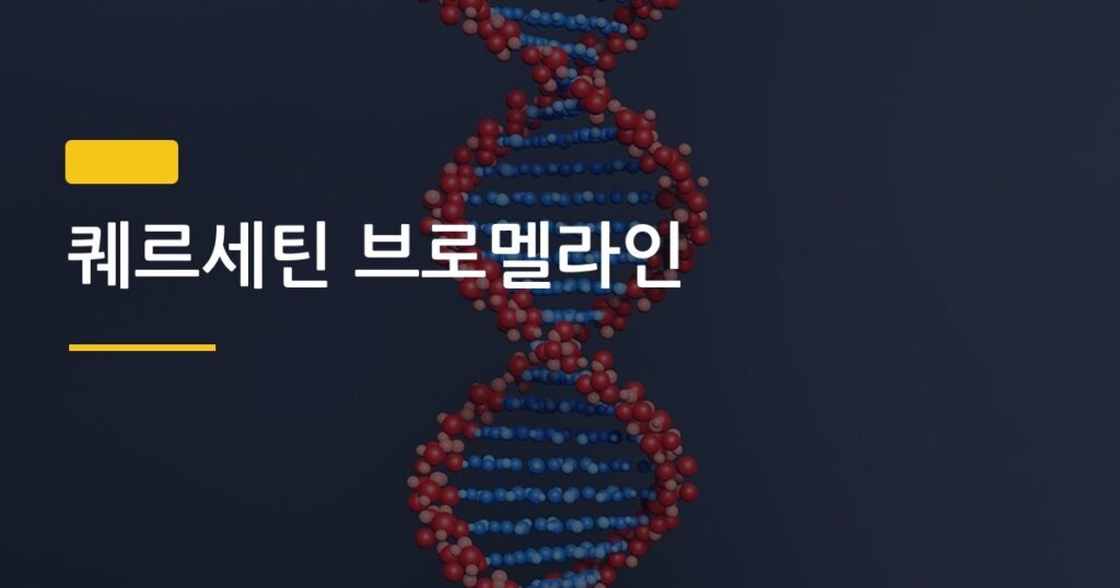 퀘르세틴 브로멜라인, 같이 먹으면 흡수율이 정말 달라질까