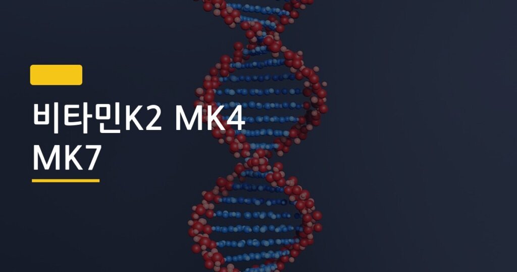 비타민K2 MK4 MK7, 형태 하나 차이가 효과를 완전히 바꾼다