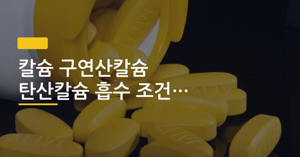칼슘 구연산칼슘 탄산칼슘 흡수 조건 차이 비교