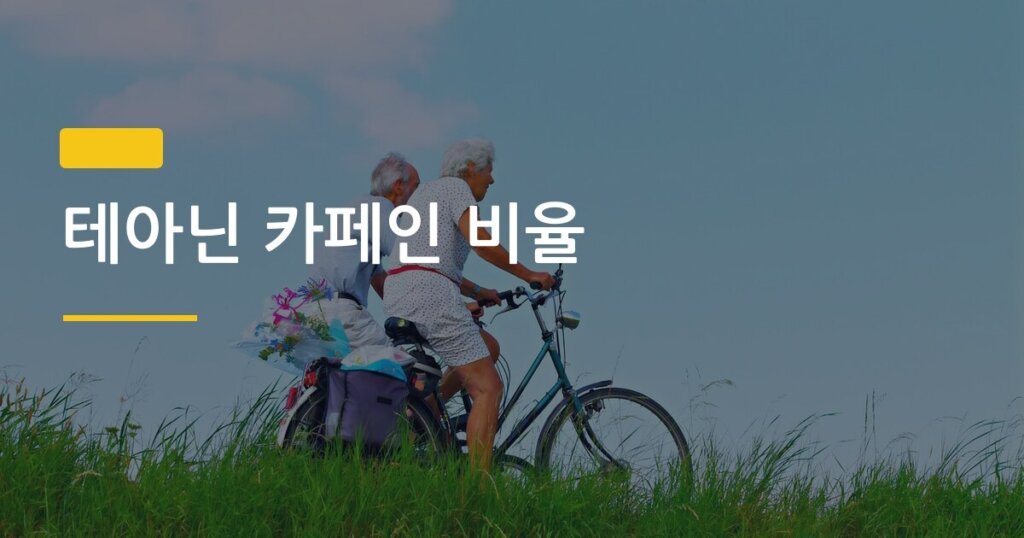 테아닌 카페인 비율, 부모님 집중력 걱정된다면 이 조합부터 확인하세요